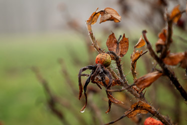 Similar image 21486856