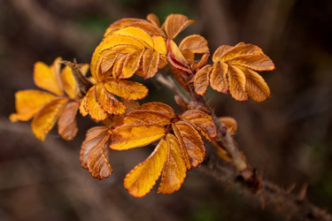 Similar image 21488128