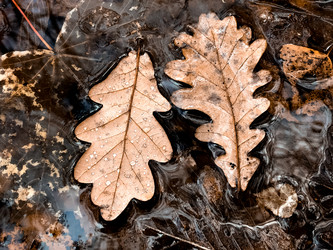 Similar image 21486858