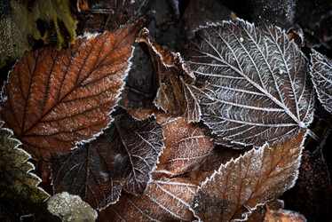 Similar image 21488133