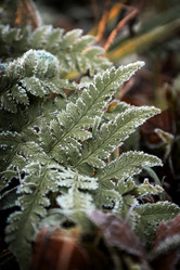 Similar image 21486862