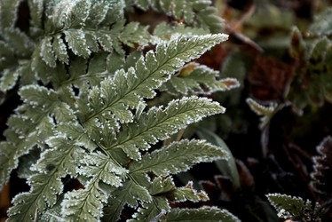 Similar image 21486863