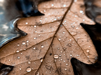 Similar image 21488135