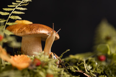 Similar image 21488136