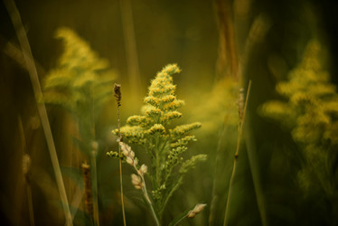 Similar image 21486864