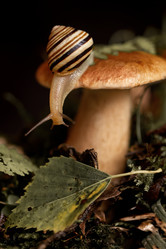 Similar image 21486868