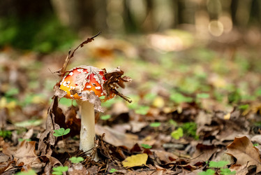 Similar image 21485236