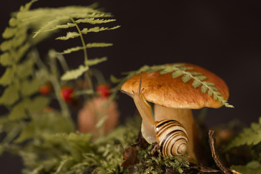 Similar image 21486870