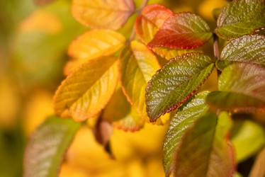 Similar image 21485238