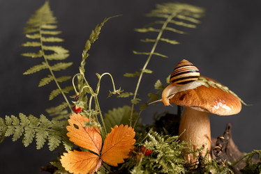 Similar image 21488139