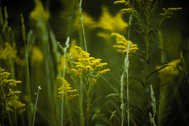 Similar image 21485243