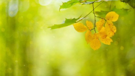 Similar image 21486873