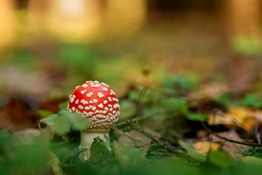 Similar image 21488735