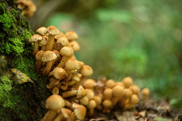 Similar image 21488141