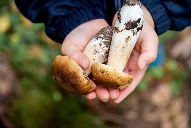 Similar image 21485245