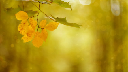 Similar image 21485246