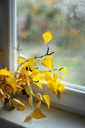 Similar image 21486874