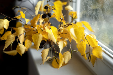 Similar image 21486875