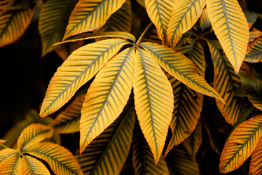 Similar image 21486876