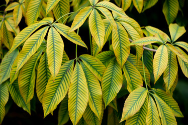 Similar image 21486877