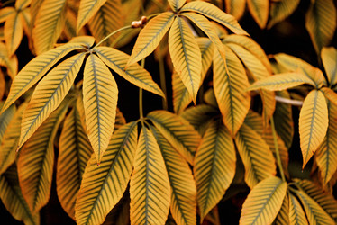 Similar image 21485248