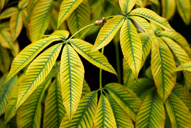 Similar image 21485249