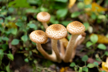 Similar image 21485252