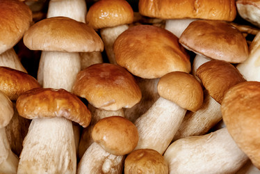 Similar image 21485254