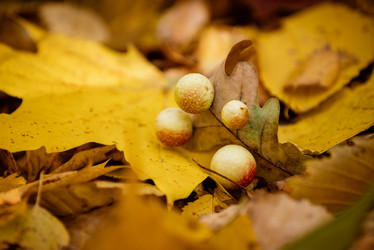 Similar image 21485255