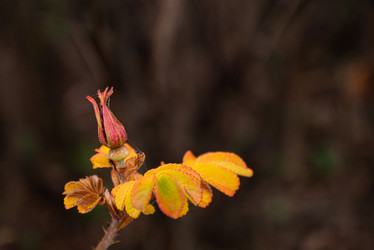 Similar image 21486884