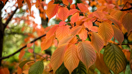 Similar image 21486885