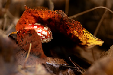 Similar image 21486888