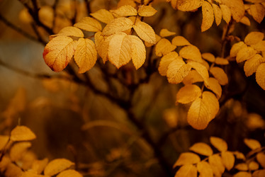 Similar image 21488147