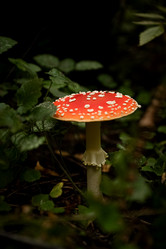 Similar image 21488148