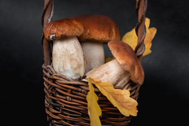 Similar image 21486894