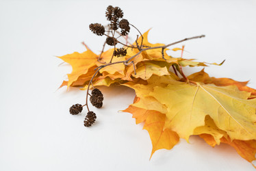 Similar image 21486895