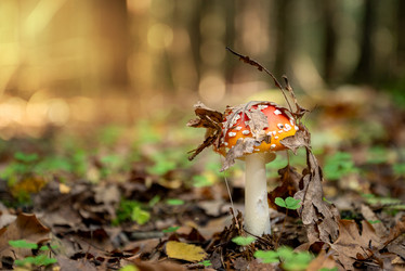 Similar image 21488149