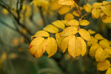 Similar image 21486899