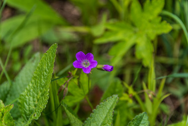 Similar image 21485260