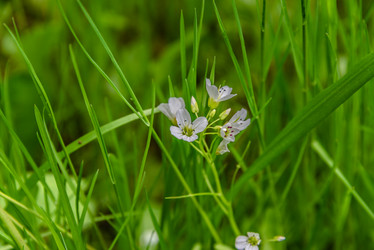 Similar image 21485261