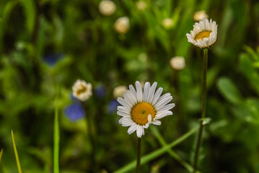 Similar image 21485263