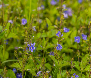 Similar image 21485265