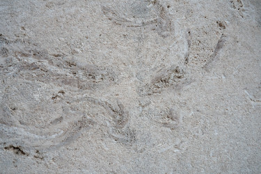 Similar image 21490578