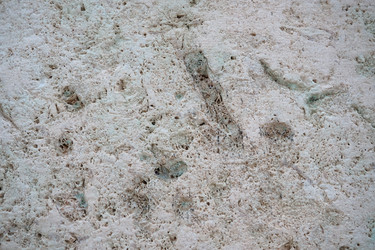 Similar image 21490584