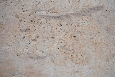 Similar image 21490594