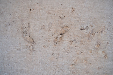 Similar image 21490598