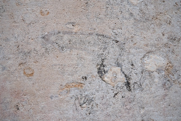 Similar image 21490599