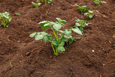 Similar image 21485270