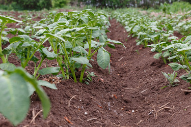 Similar image 21485272