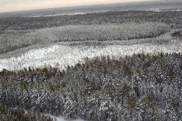 Similar image 21487614